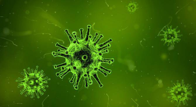 Петима души в Индия умряха вследствие на заразяване с вируса Нипа