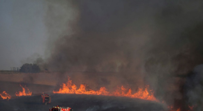  Пожар горя в житен масив край Пловдив (обновена)