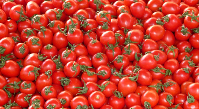 Камион с домати катастрофира в Кресненското дефиле