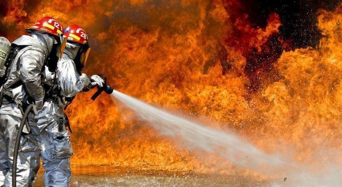 Девет пожара са възникнали в горите на СИДП