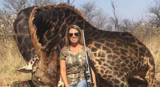  Американка, убила жираф в Африка, възмути света (видео)