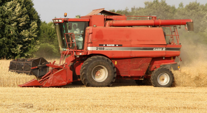 Жътвата на пшеница в Русенско приключва до седмица
