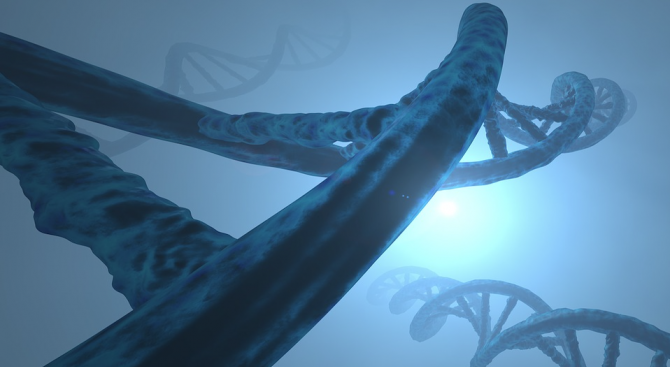 Редактирането на гени предизвиква генни мутации