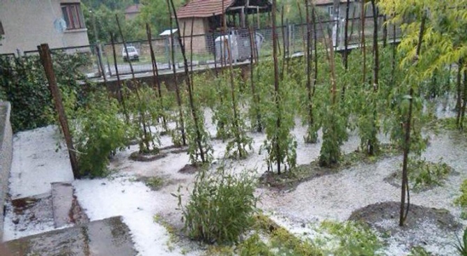Градушка унищожи реколтата в Смолянско