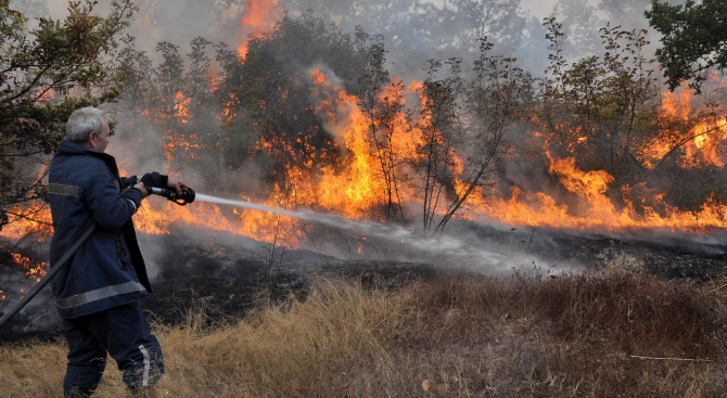 Пожарникари продължават да борят огъня в Кюстендилско 