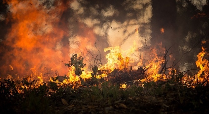 Продължават спасителните акции в опожарена Гърция 