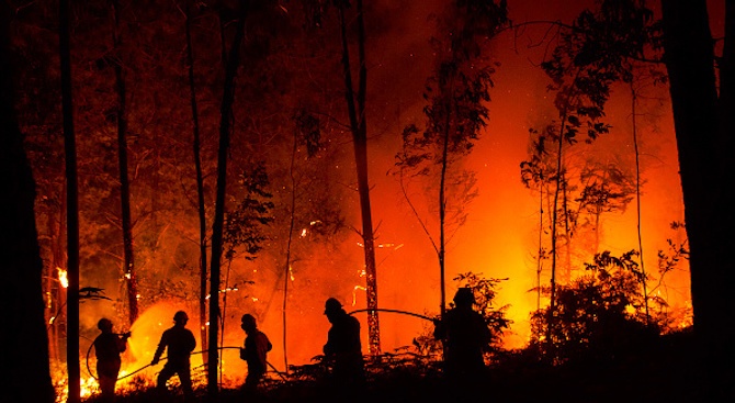 Заради горските пожари в Швеция властите забраниха барбекюто