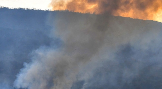 Първа оставка в гръцкия кабинет заради пожарите 
