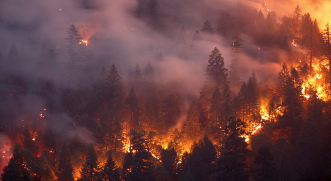 Горските пожари в Северна Калифорния станаха най-големите в историята на щата