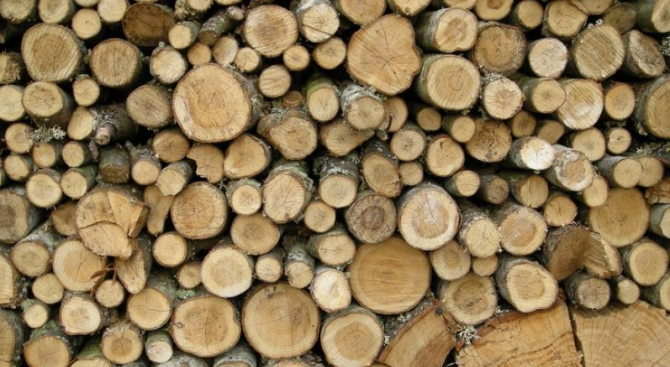 Дървата за огрев в Пловдив тази зима ще бъдат по-скъпи
