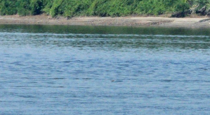 Тийнейджър удави дете в река Дунав край Свищов