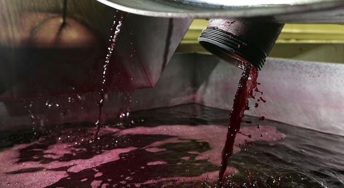 Гръцкият Върховен съд обяви данък върху виното за незаконен