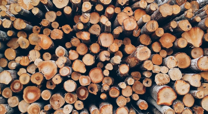 Колко ще ни струват дървата за огрев тази година? 