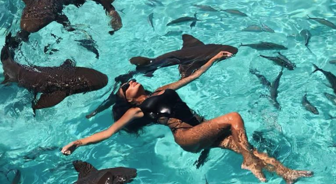 Николета Лозанова плува с акули на Бахамите (видео)