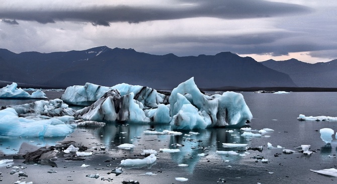 Малки "оазиси" без лед помогнали на морския живот в Арктика да оцелее