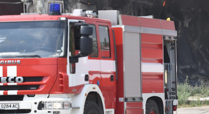 Две къщи и стопански животни спасиха пожарникари в Дулово