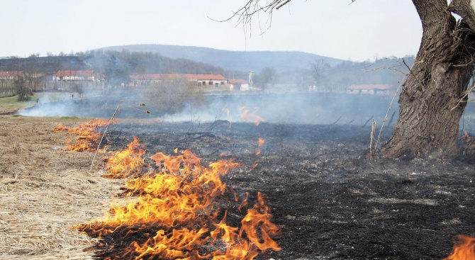 Огнеборци гасиха шест часа запалени стърнища и листна маса в горски масив в Русенско