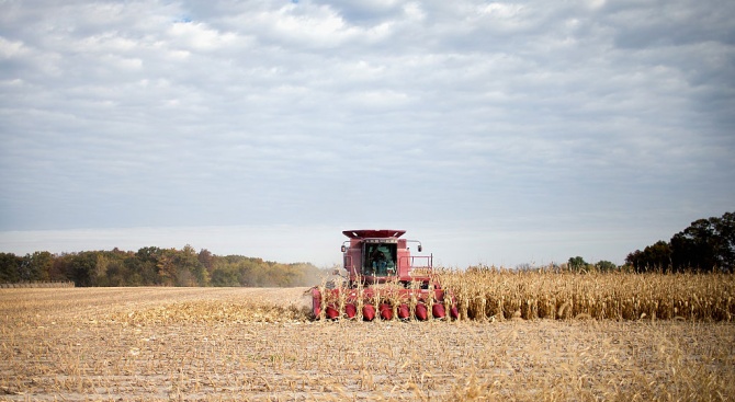 Земеделските стопани в Добричко прибраха над 821 000 тона фуражно зърно