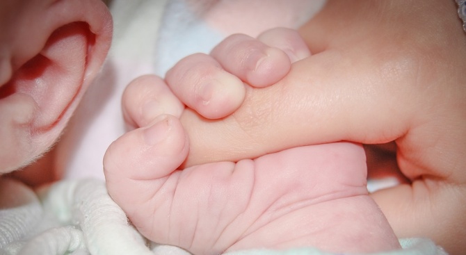 Тризнаци се родиха от два ембриона при първи ин витро опит на майка от Добрич