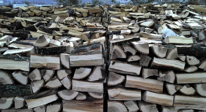 Близо 400 хил. кубика дърва за огрев са добити на територията на ЮЦДП-Смолян