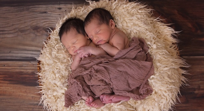 Китайски учени създадоха генномодифицирани близнаци