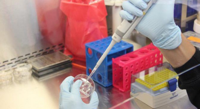 СЗО настоява за въвеждането на по-строги критерии при редактирането на човешки гени 