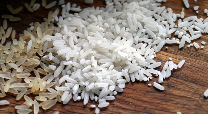 Биолози: Оризът е вреден