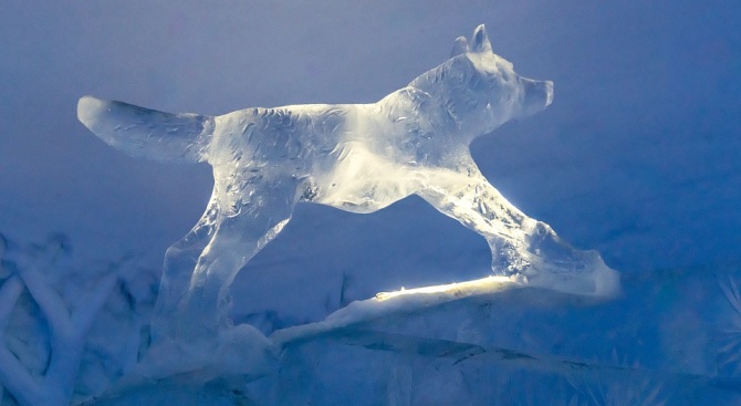 Атрактивен фестивал на ледените фигури започна в Русе