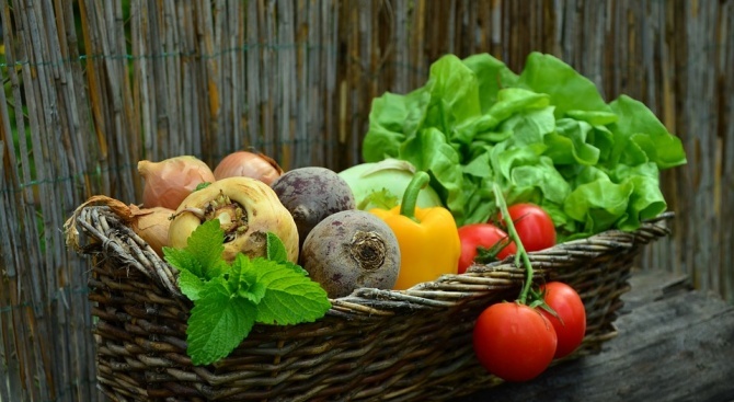 БАБХ извърши 198 проверки на пакетирани пресни и замразени плодове и зеленчуци в цялата страна
