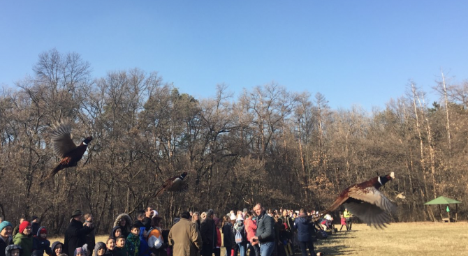 Ученици пуснаха 120 фазана в Борисовата градина (снимки)