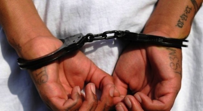 Затвор за циганите с незаконна гонка с каруци край Мъглиж, които нападнаха и биха полицаи