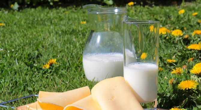 Важна новина за потребителите:  От днес влизат в сила новите правила за имитиращи млечни продукти