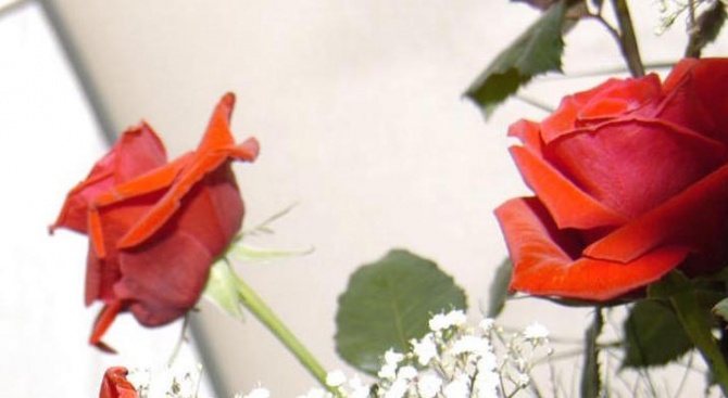 Българи харизват турски рози на половинките си за Св. Валентин