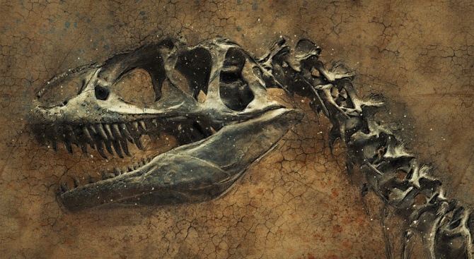 Откриха цял скелет на динозавър до река в Танзания