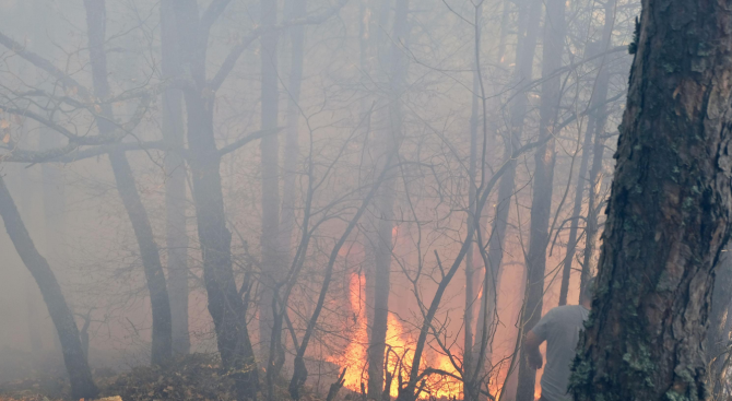 Пожар обхвана 150 декара гора край Благоевград 