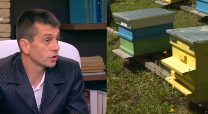 Пчелар: Българският мед не се изнася в чужбина, защото при анализ в него има глифозат
