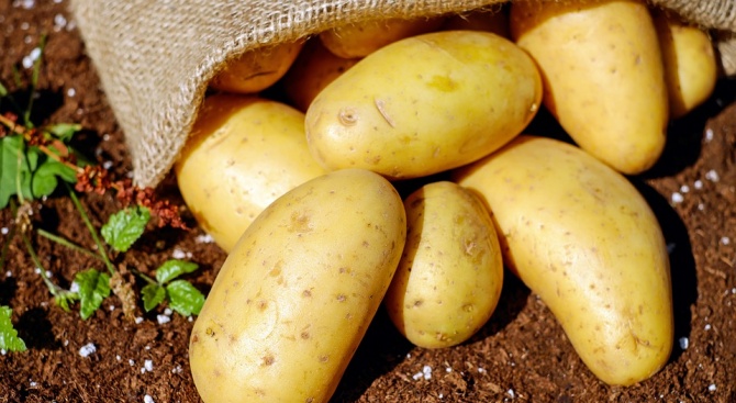 Картофите поскъпнаха с 250% за година
