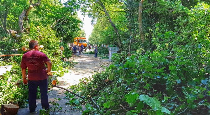 24 сигнала за наводнения и паднали дървета след дъждовете в Пловдив 