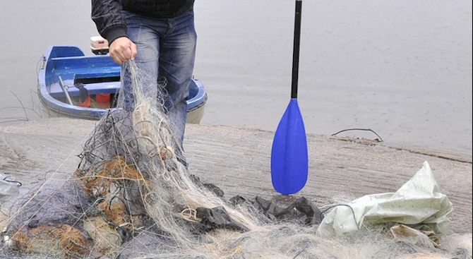 25 килограма риба е извадена от бракониерски мрежи в язовир "Ястребино"