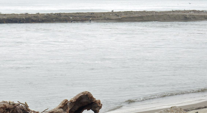Експерти провериха река Камчия по сигнал за мъртва риба