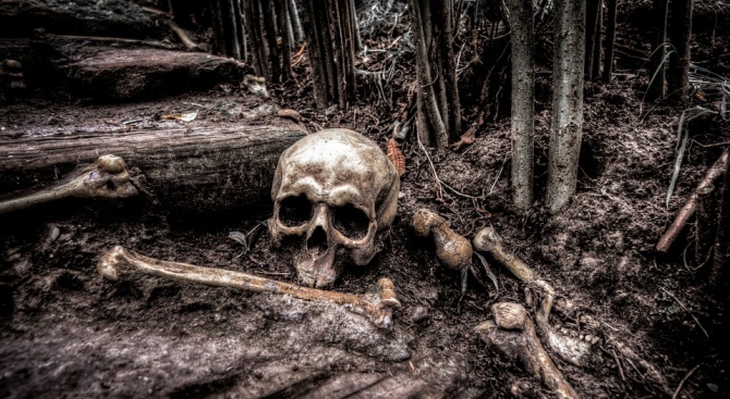 Откриха човешки останки край Козловец