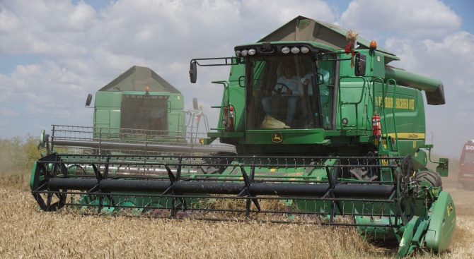 60% от площите с пшеница в Ямболско са ожънати при среден добив 467 кг от декар