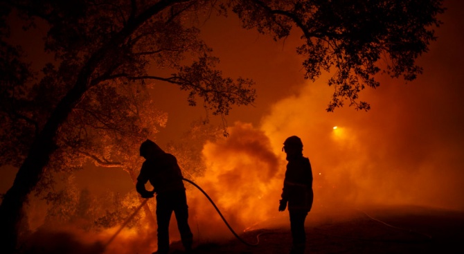 1000 пожарникари се борят с горски пожари в Централна Португалия