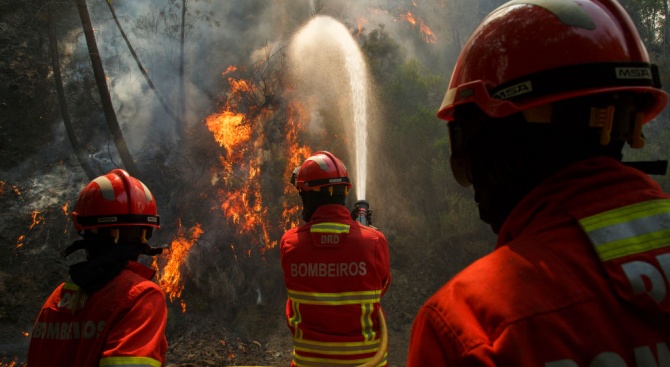 500 пожарникари се борят с горски пожар в Португалия 