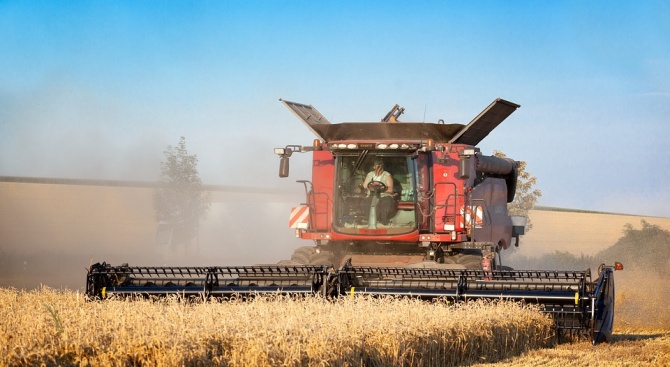 Жътвата на пшеницата в Ямболско приключва при среден добив 476 кг от декар