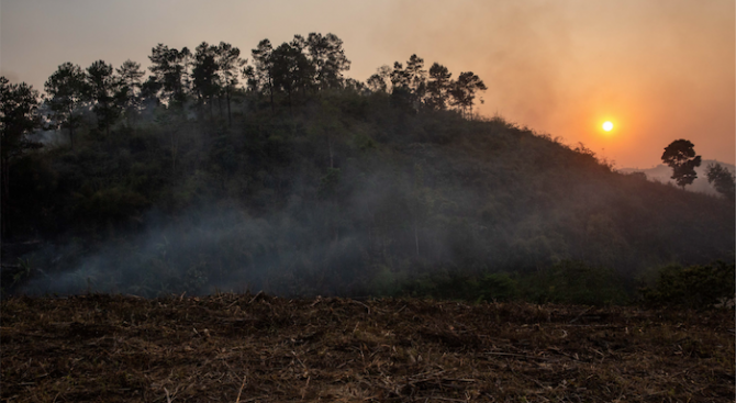 Близо 30 хектара гори са пострадали при горски пожар в окръг Бурса 