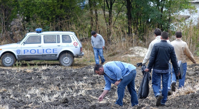 Трупове и части на прасета бяха открити в дере край село Гавраилово