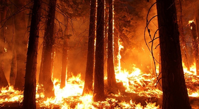 Над 50 горски пожара бушуват в Гърция 