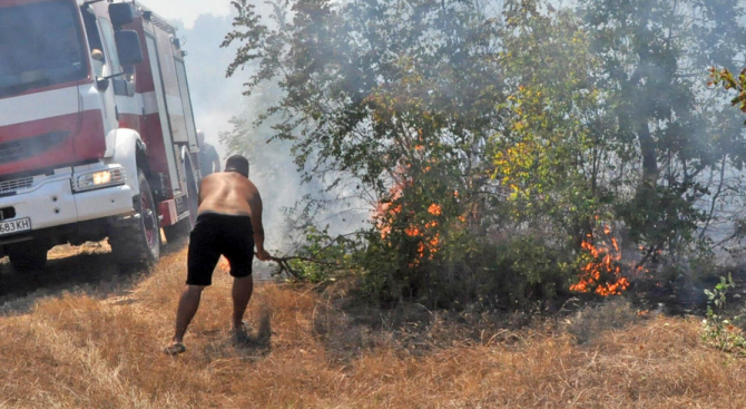 Районната прокуратура в Хасково разследва пожара между селата Родопи, Брягово и Любеново