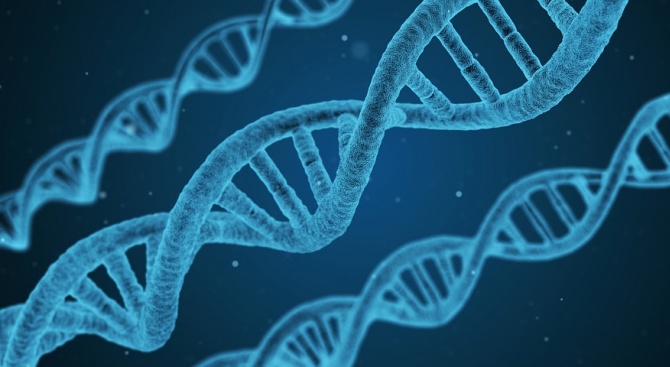 Рядка генна мутация предразполага към рак